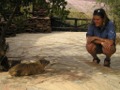 Jane and small mammal Serengeti visitor centre